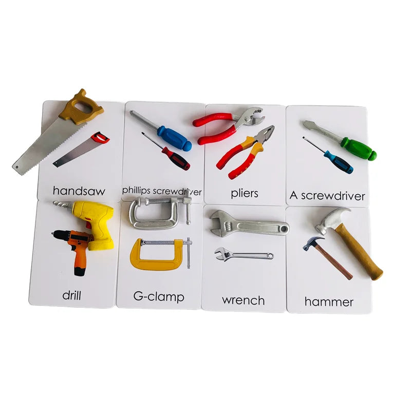 Montessori 3-Part Card Models — Child Language Learning, lifestyle setting