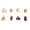 Montessori 3-Part Card Models — Child Language Learning, gift-ready presentation