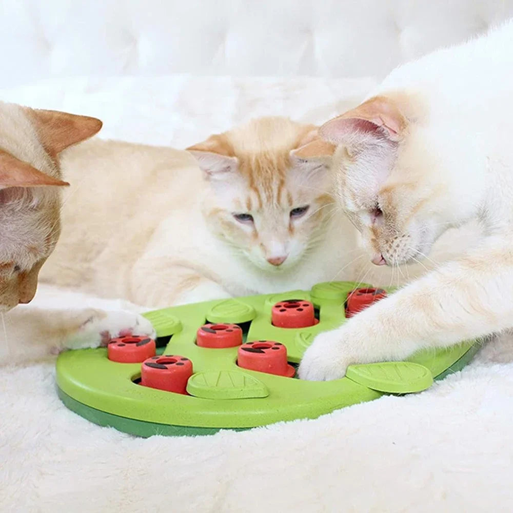 Cat Treat Puzzle — Interactive Play for Enrichment, premium quality view