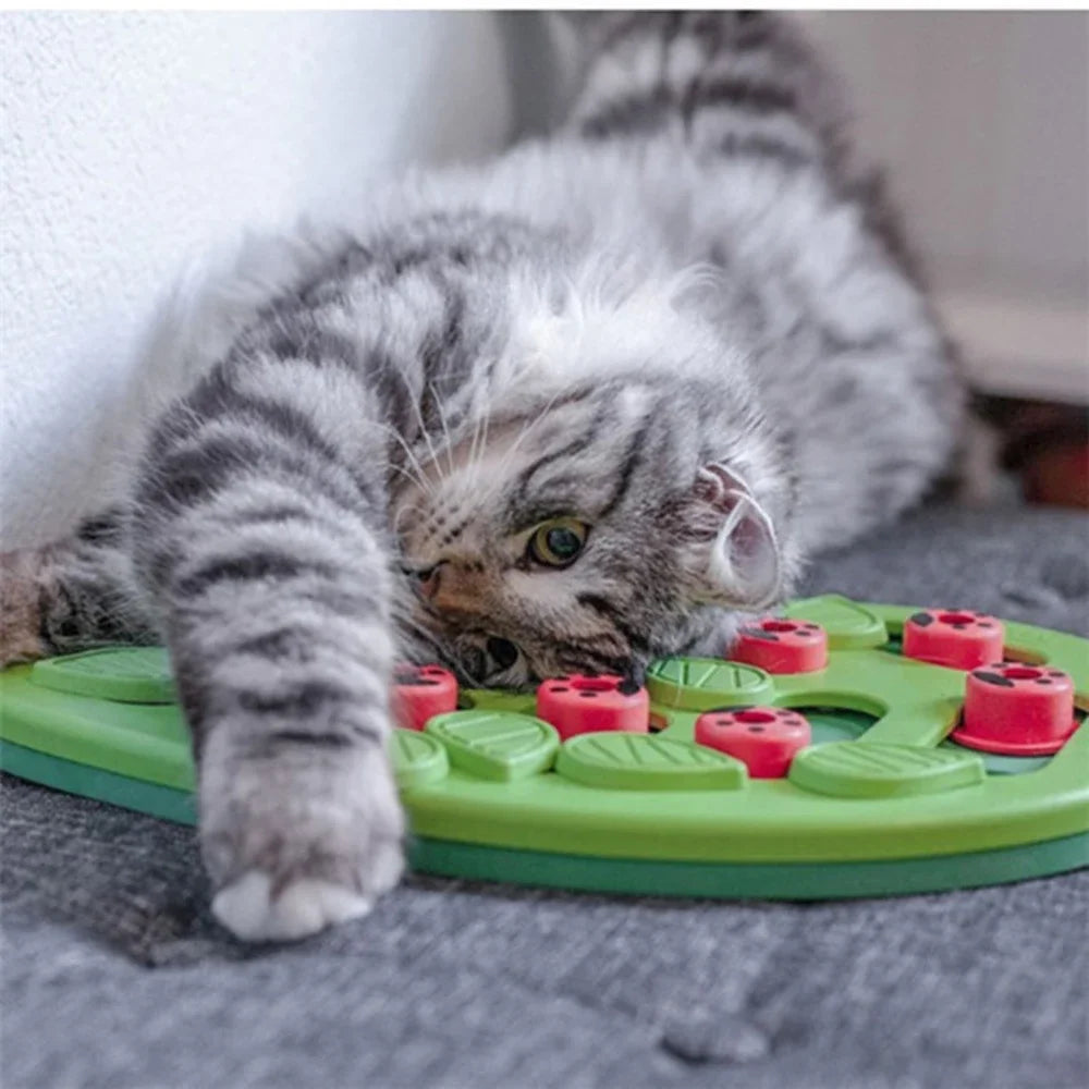 Cat Treat Puzzle — Interactive Play for Enrichment, lifestyle setting
