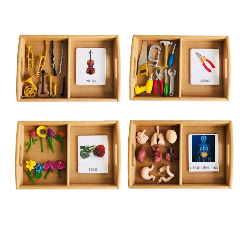 Montessori 3-Part Card Models — Child Language Learning