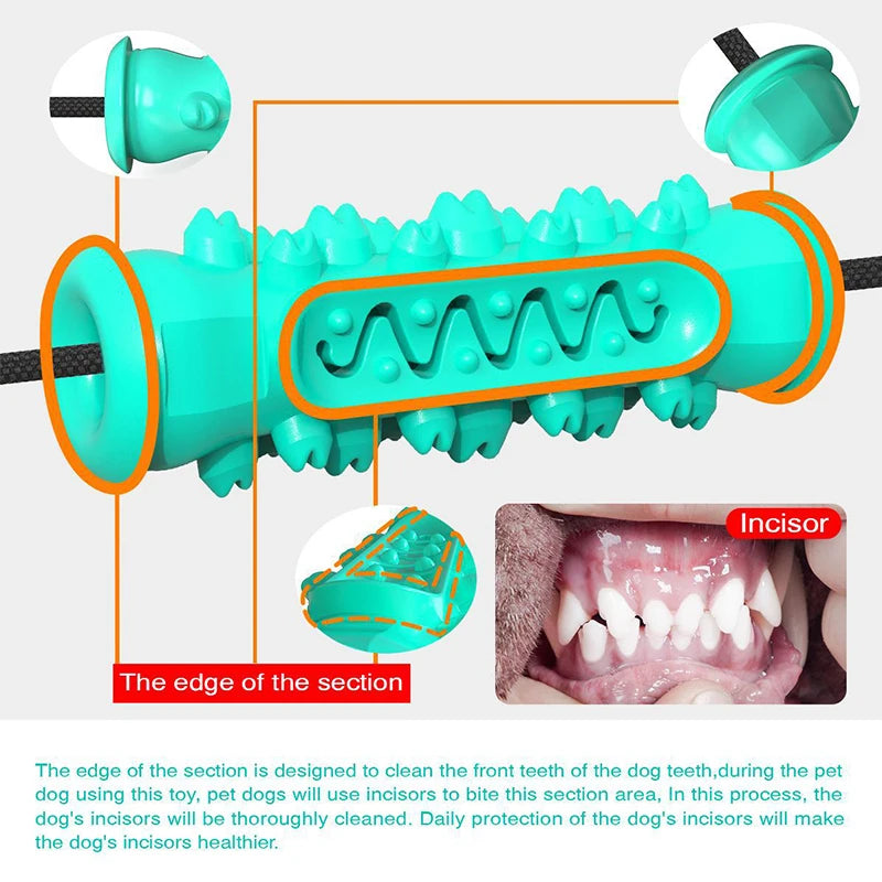 Dual Suction Cup Dog Chew — Engaging Dental Play, close-up detail