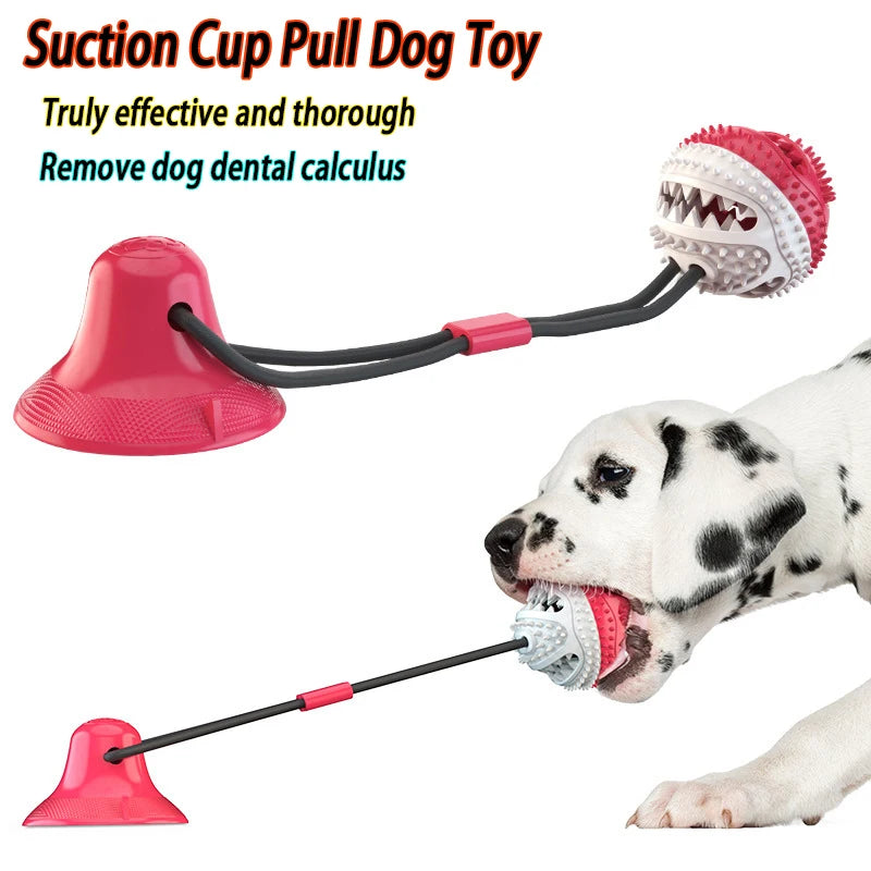 Suction Cup Pull Dog Toy — Dental Cleaning