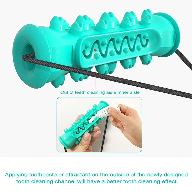Dual Suction Cup Dog Chew — Engaging Dental Play, alternate angle