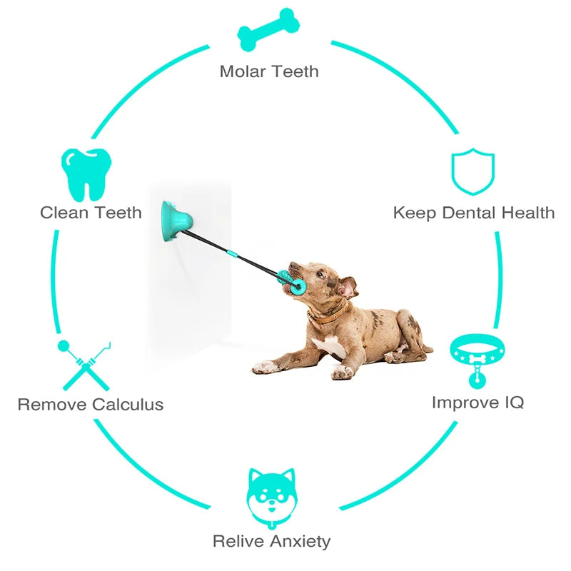 Dual Suction Cup Dog Chew — Engaging Dental Play, premium quality view