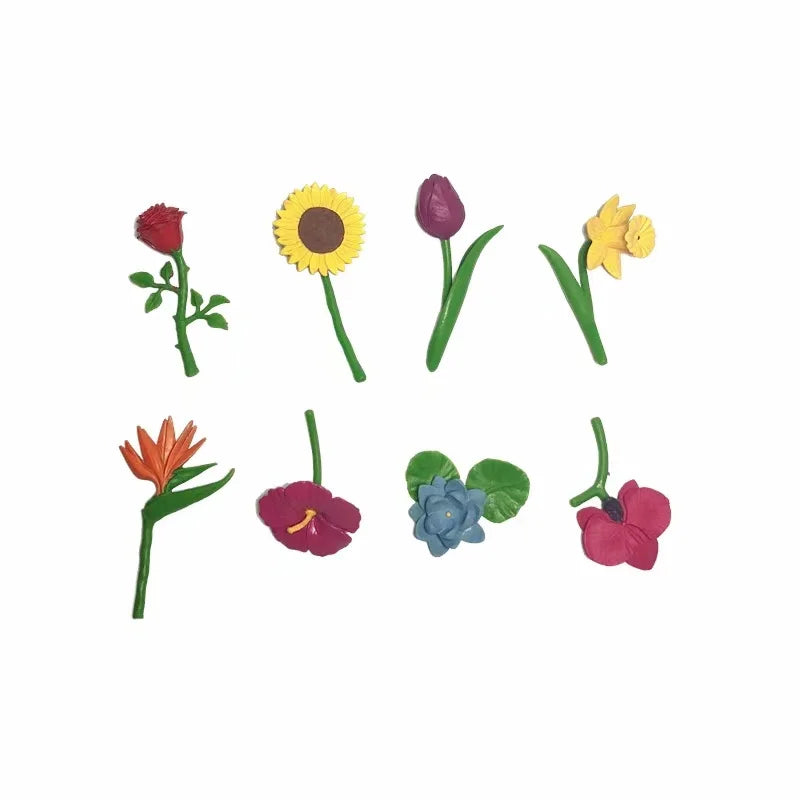 Montessori 3-Part Card Models — Child Language Learning, elegant display
