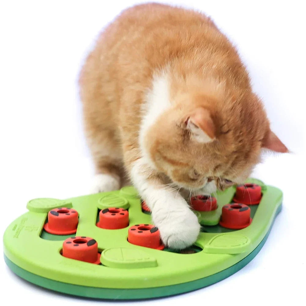 Cat Treat Puzzle — Interactive Play for Enrichment