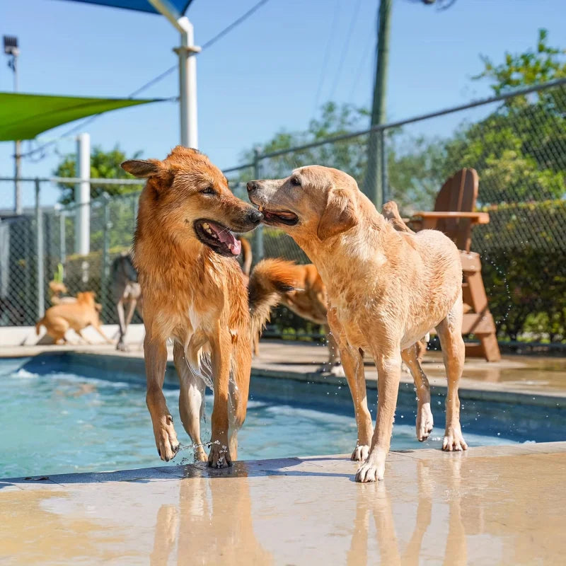 Kids Sprinkler Splash Pad — Summer Water Fun, premium quality view