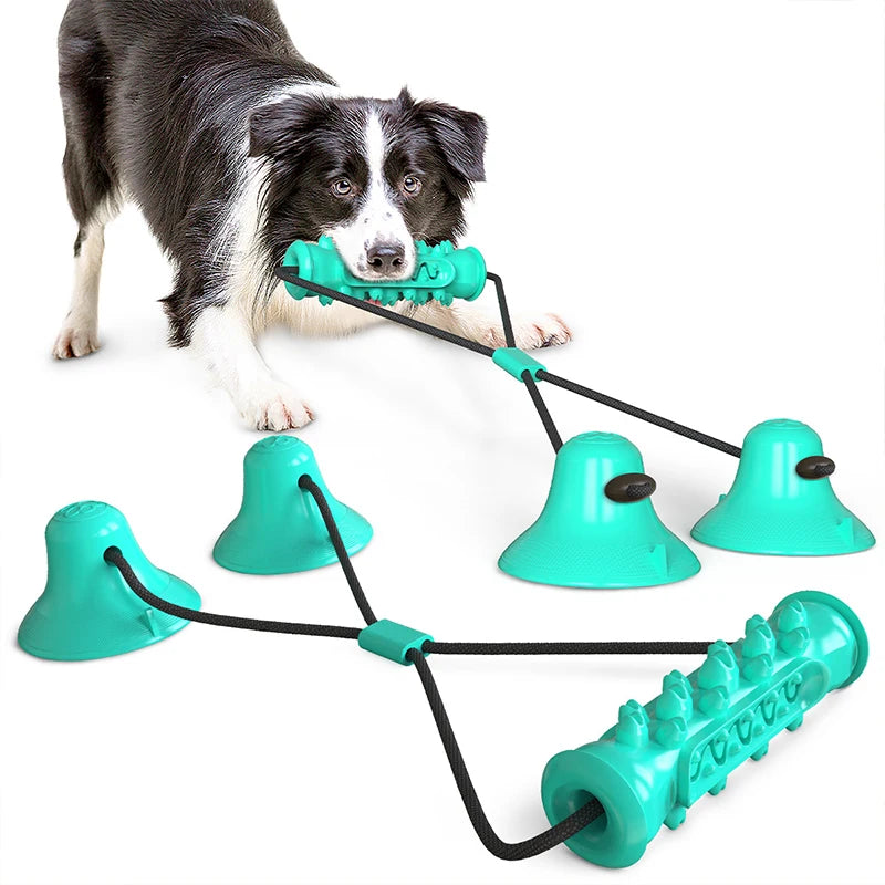 Dual Suction Cup Dog Chew — Engaging Dental Play, lifestyle setting