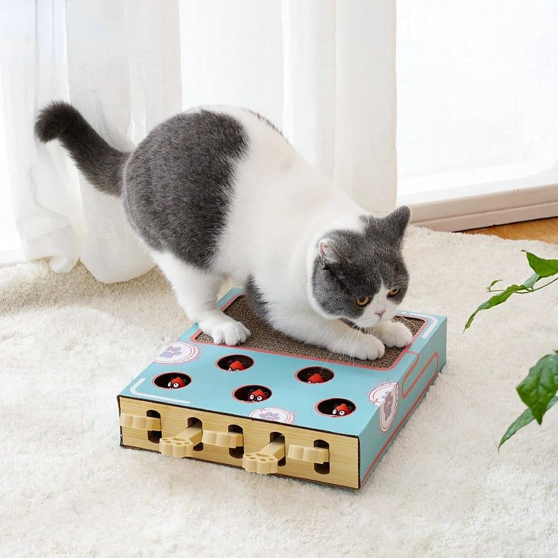 Cat Whack-a-Mole Scratcher — Engaging Playtime