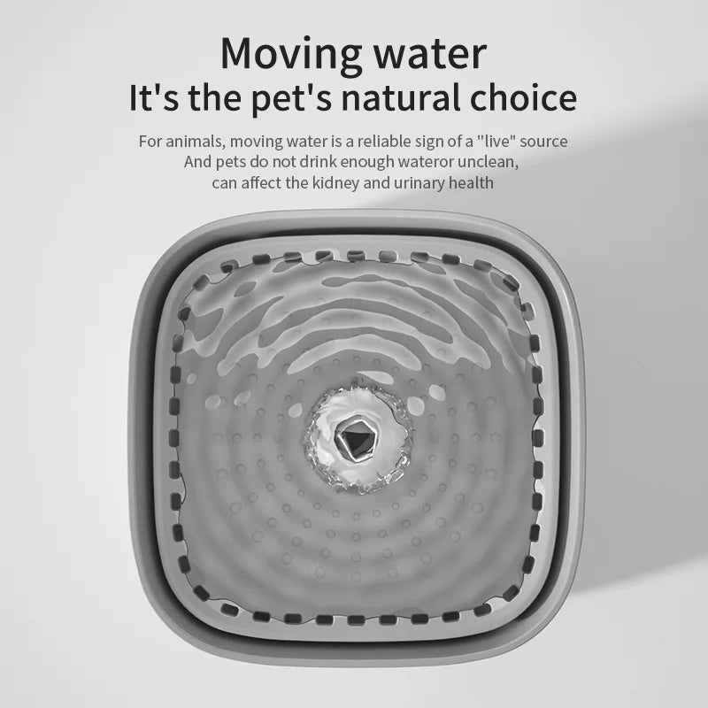 Pet Water Fountain 3L — Automatic Filtered Dispenser, premium quality view