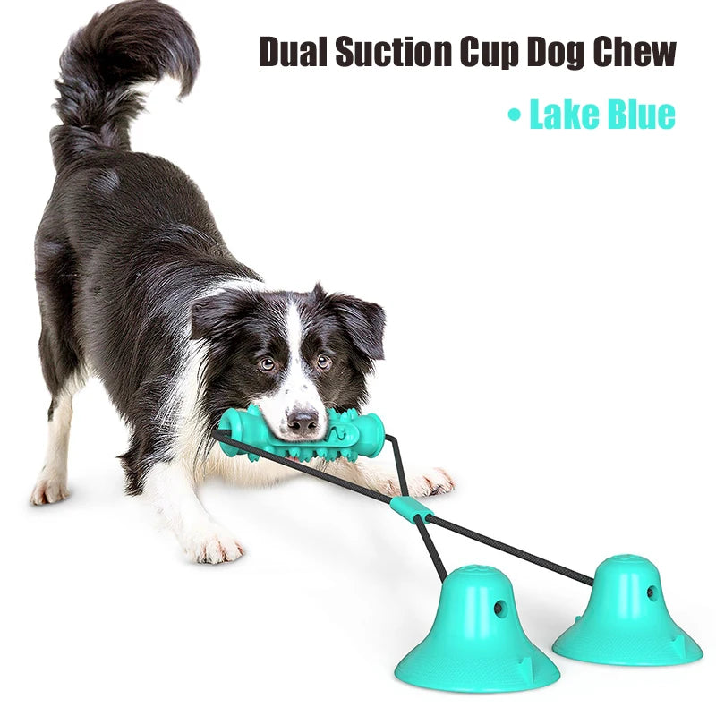 Dual Suction Cup Dog Chew — Engaging Dental Play, thoughtful detail
