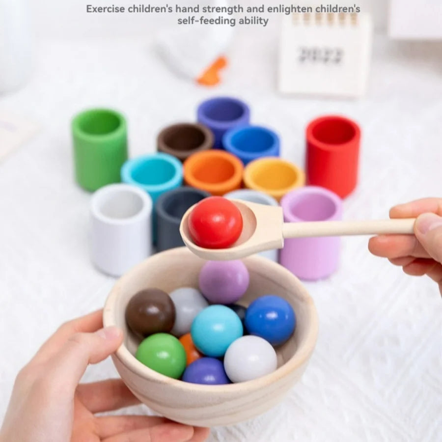 Montessori Color Matching Game — Wooden Play for Ages 3+, premium quality view